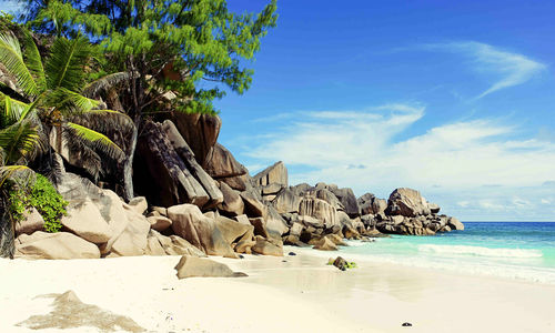 Beach in the Seychelles
