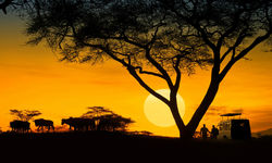 Tanzania at sunset