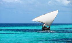 Traditional dhoni sailing in Tanzania