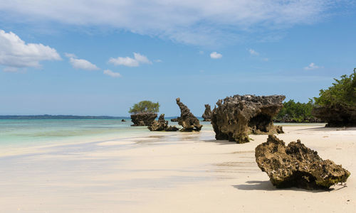 Pristine White Beach, Tanzania