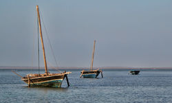 Three Dhows in the Water