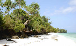 Pemba Island Beach