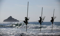 Fishermen in the water, Sri Lanka