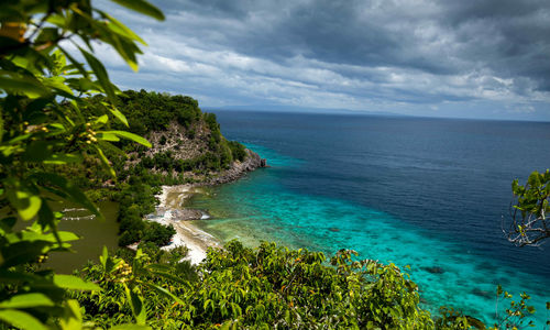 Apo Island Coastline