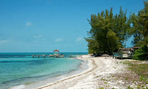 Abacos dock, Bahamas