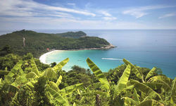Banana Plantation View, Malaysia
