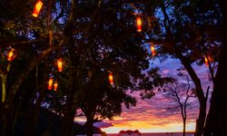 Sunset through the trees