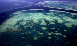 Aerial view of the Great Barrier Reef