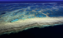 Aerial stretch of the Great Barrier Reef