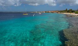 Bonaire sea