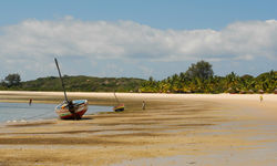 Boats on the beach