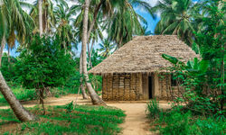 Tanzanian Hut