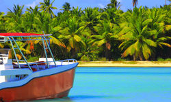 Tropical paradise relax image
