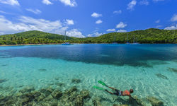 Diving in the grenadines