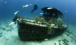 Ship wreck, Bahamas