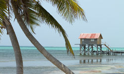 Beach hut the cayes