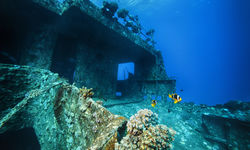 A wreck dive