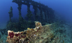 Wreck of Rhone
