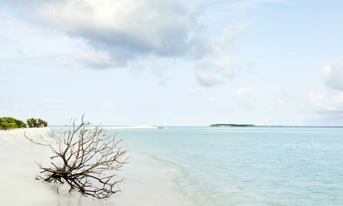 Northern Atolls Beach, Maldives