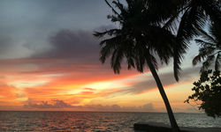 Maldives beach at sunset