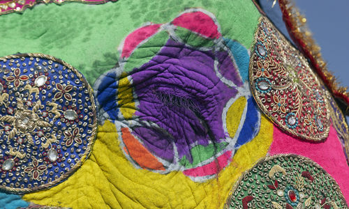 Elephant Eye, Rajasthan, India