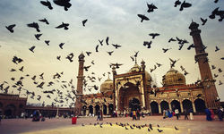 Mosque, Delhi, India