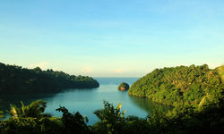 Lembeh Forests