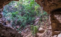 Ankarana National park