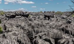 Pinnacles in Madagascar