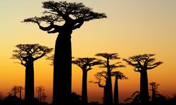 North Madagascar Sunset