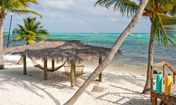 Beach Hammocks and palm trees