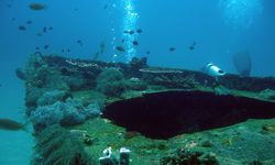 Wreck Dive, Philippines