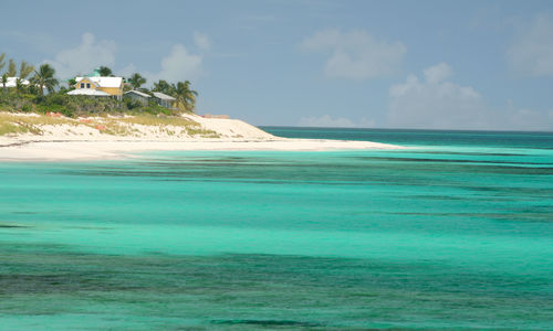 Bimini coast, Bahamas