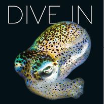 OD 2019 brochure cover