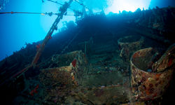 taiyo tuna fishing boat wreck