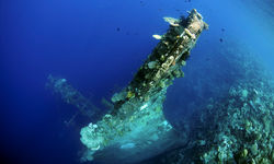wreck diving Solomon Islands