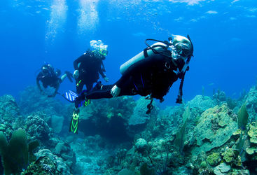 diving Caribbean