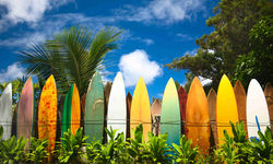 Surfboards, Hawaii, USA