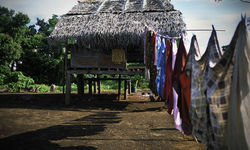 Village in Papua New Guinea