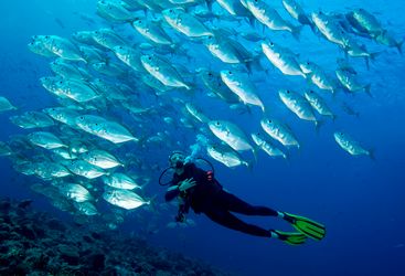 Babeldoab Island, Palau