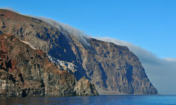 isla guadalupe mexico