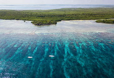 belize reef