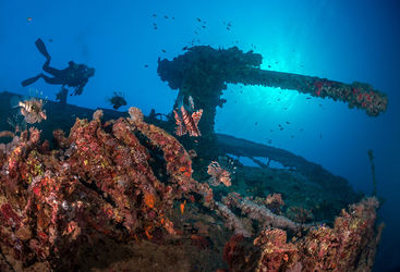 red sea wreck