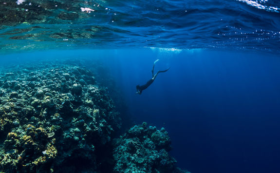 freediving maldives