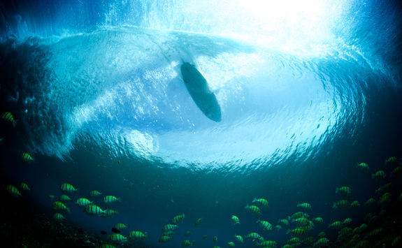 surfing maldives