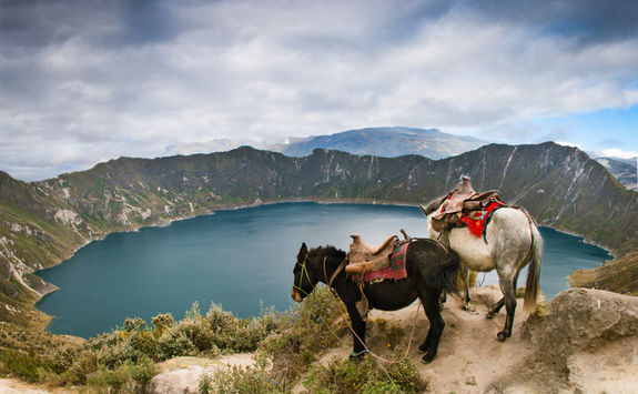 quilotoa lake and horses