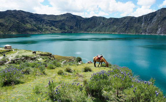 quilotoa lagoon and horse