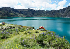quilotoa lagoon and horse