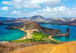 view from bartolome island