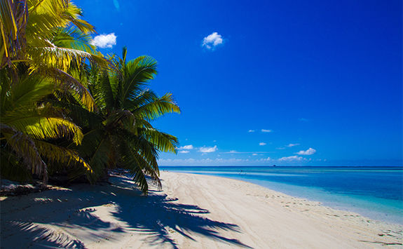beach and sea seychelles